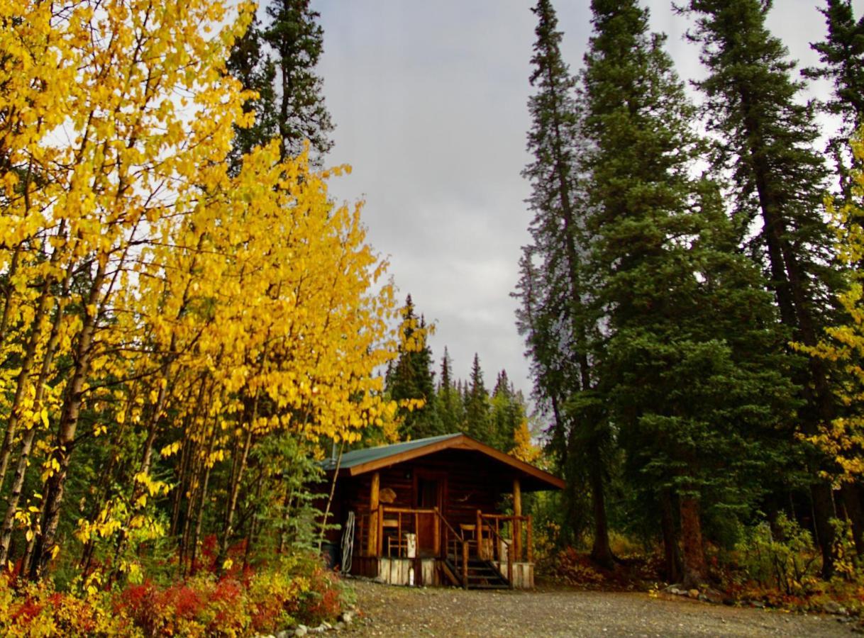 Carlo Creek Cabins Denali Park Exterior photo